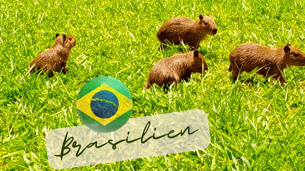 Brasilien Reisen, Capivara, Brasilien auswandern, Foz do Iguacu